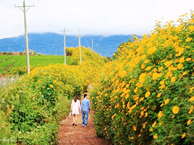 huong sac cao nguyen hinh 4