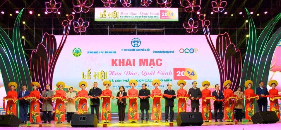ha noi khai mac le hoi hoa dao quat canh va san pham ocop xuan giap thin hinh 1