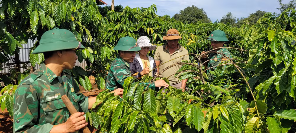 xuan bien gioi tham tinh quan dan hinh 5