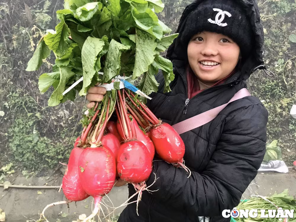 nhip song sa pa trong ngay gia lanh 3 do c hinh 6