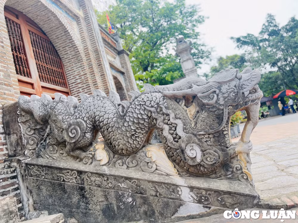 cap rong da thanh bac o den thuong co loa vua tro thanh bao vat quoc gia hinh 2