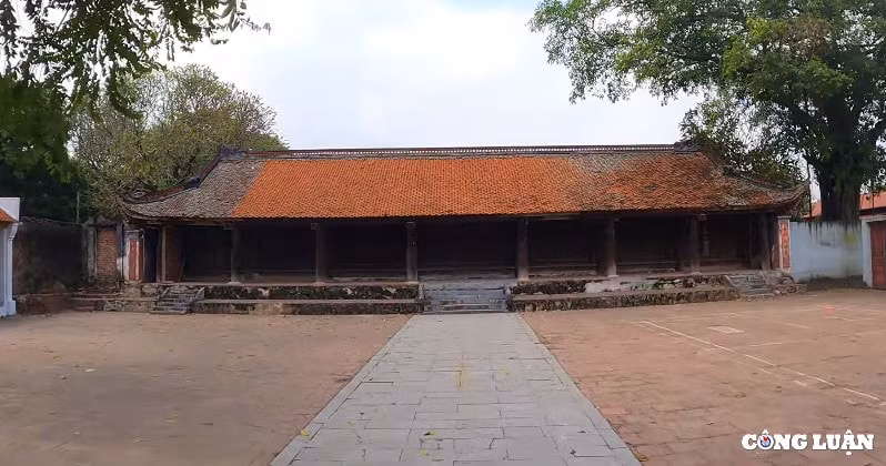 doc dao ngoi co tu gan 2000 nam tuoi noi ngoai thanh thu do ha noi hinh 1