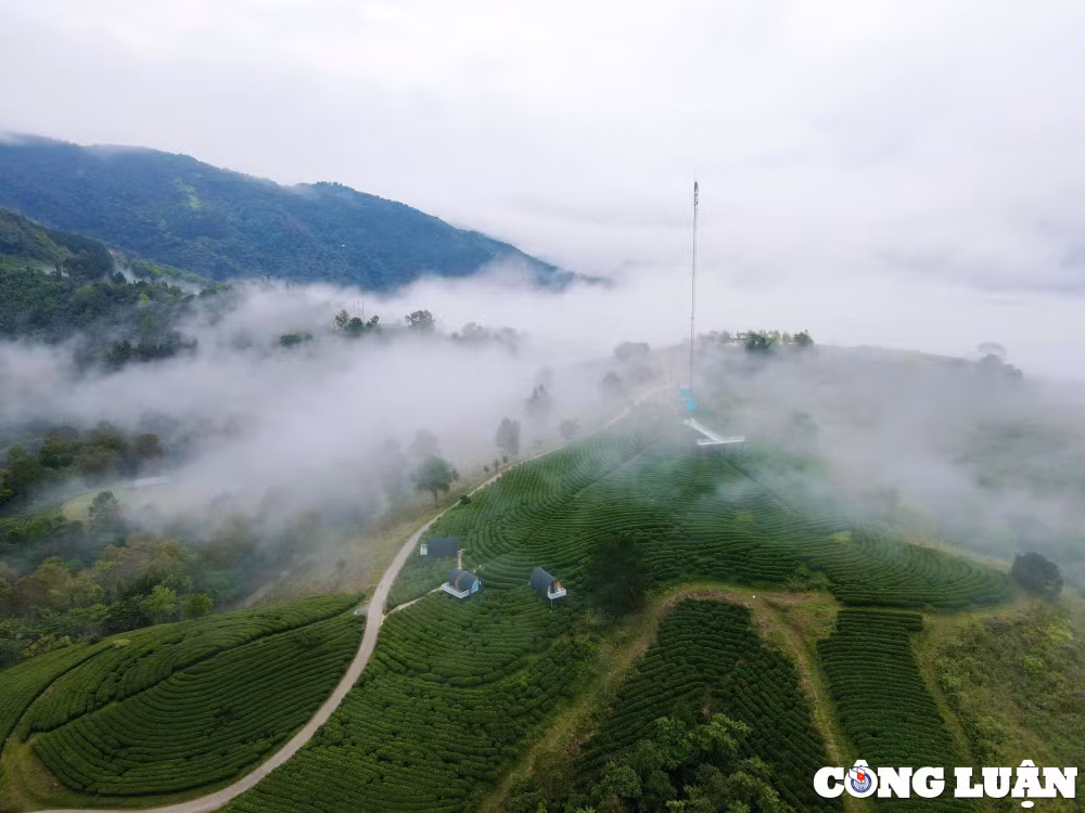 kham pha nguyen binh vien ngoc huyen bi cua cao bang hinh 2