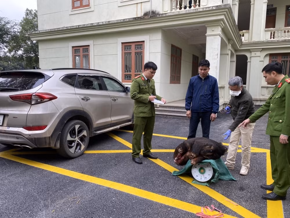 ninh binhnhuc nhoi nan san bat buon ban dong vat hoang da hinh 1