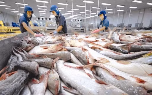 Cổ phiếu “vua cá tra” rời sàn giữa tâm dịch Covid-19.