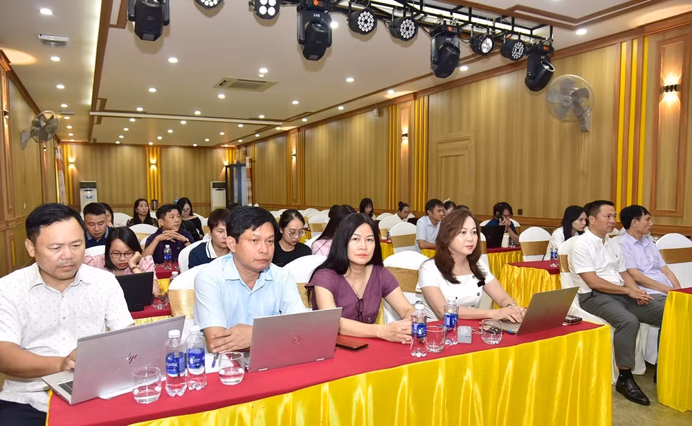 dt-dsc8349.jpg
