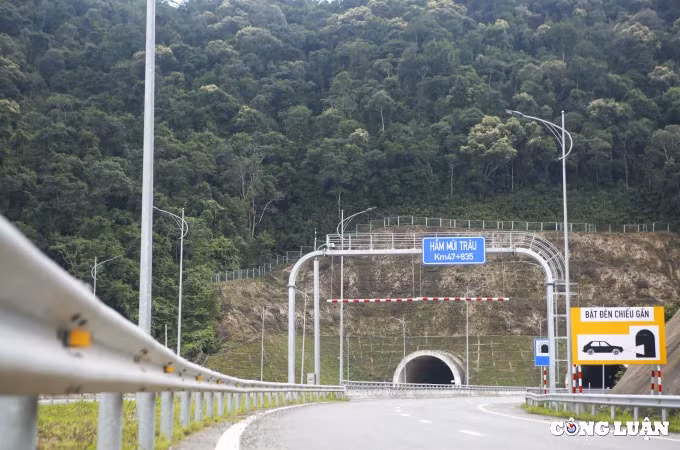 ngam nhin cao toc la son hoa lien dep nhu tranh ve hinh 13