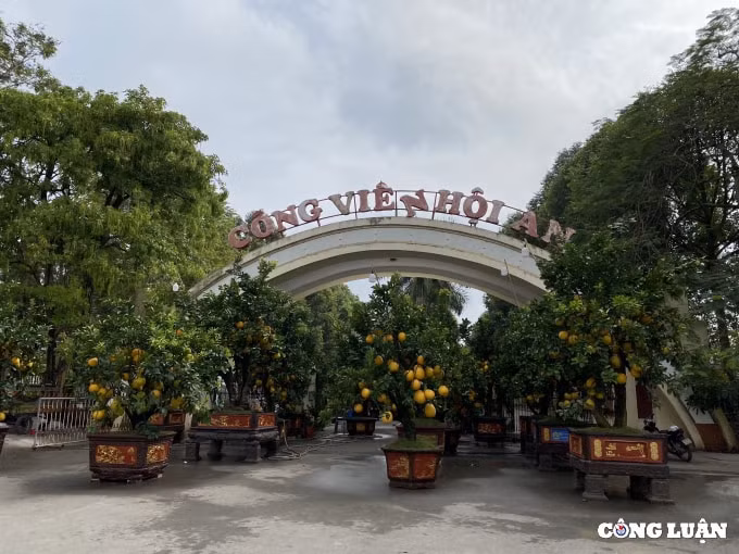 thanh hoa nhung chuyen cay canh tet dau tien ve pho hinh 1
