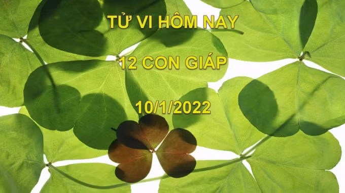 tu vi hom nay 10 1 2022 thu 2 ngay 8 12 am lich cua 12 con giap hinh 1