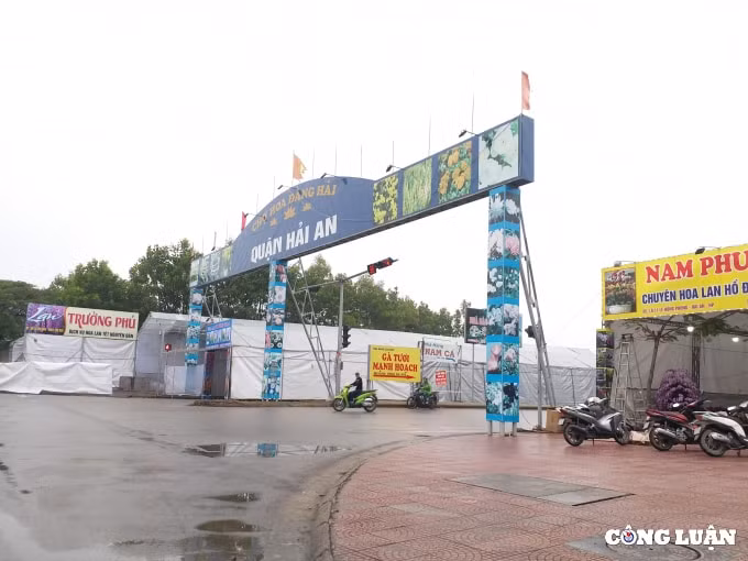 hai phong to chuc 18 diem cho hoa xuan nam 2022 hinh 1