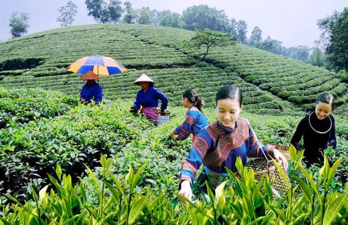 xu ly kien nghi cua cac dia phuong lien quan den chuong trinh muc tieu quoc gia ve giam ngheo ben vung hinh 1