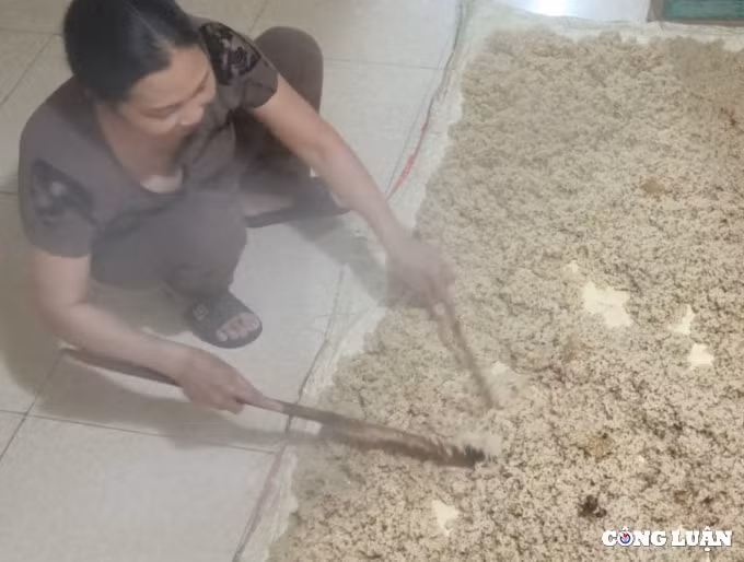 mua xuan ghe tham lang ruou nep thanh lang hinh 2