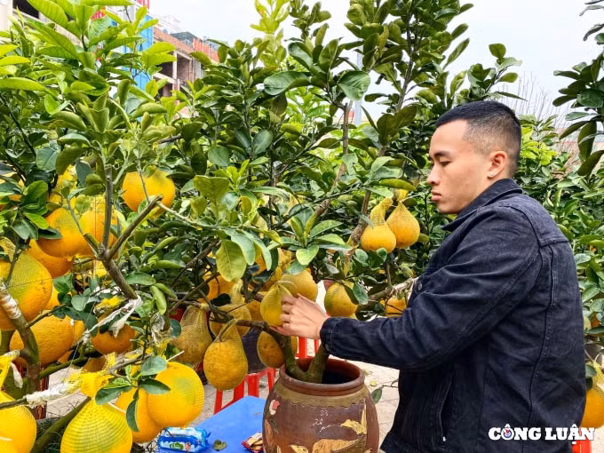 danh ganh hang thap thom noi au lo hinh 2