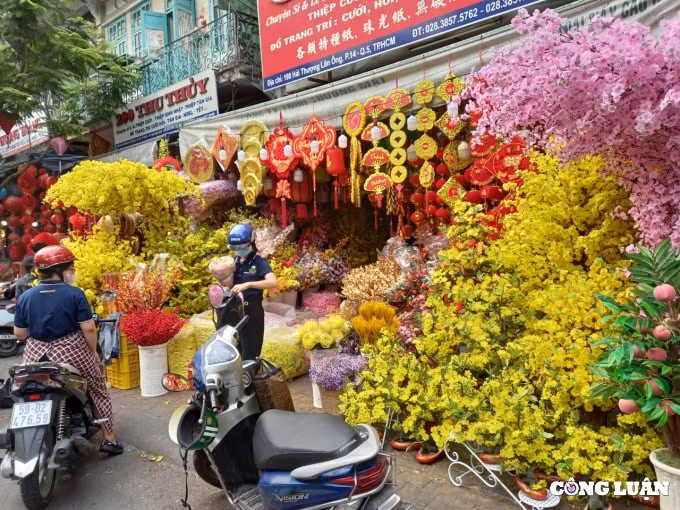 pho nguoi hoa o tp hcm ron rang nhung ngay can tet nguyen dan 2022 hinh 13