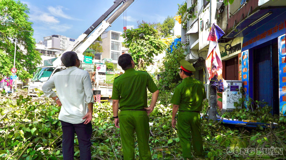 Lực lượng công an khu vực cho biết khoảng 6h10 nghe tin báo từ người dân, ngay lập tức đơn vị công an cùng lực lượng công nhân cây xanh, dân quân, csgt đến hiện trường để xử lý sự cố, điều tiết giao thông, ước tính có hơn 50 người thực hiện nhiệm vụ. clo_br_1791345497213-254409835294636708-5939139348061225039-90833c6f9a9c5c8af68dd411caebe87c.jpg
