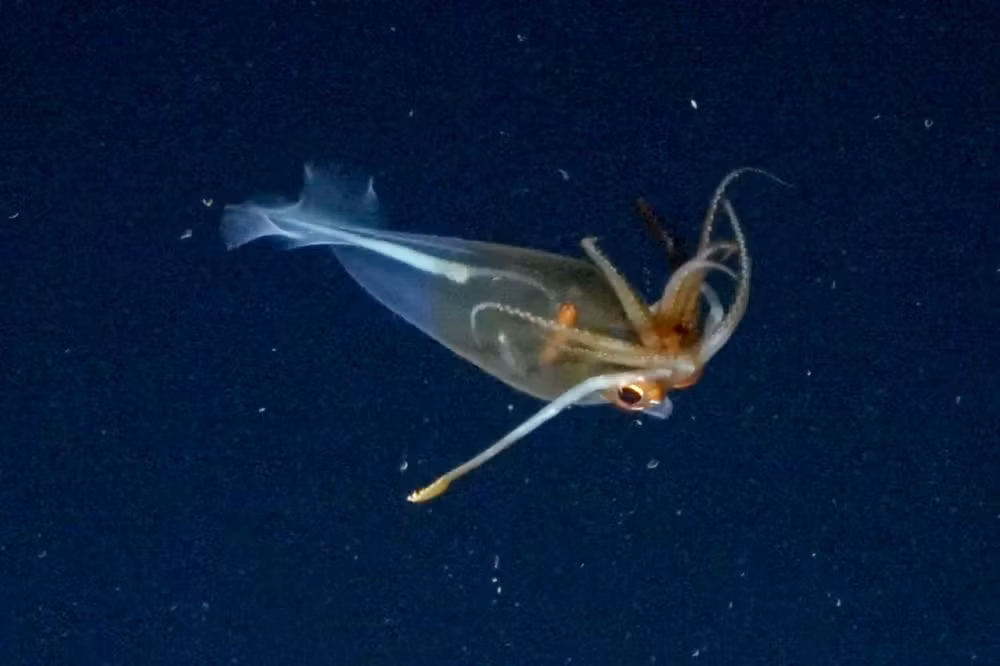 untitled(1).png