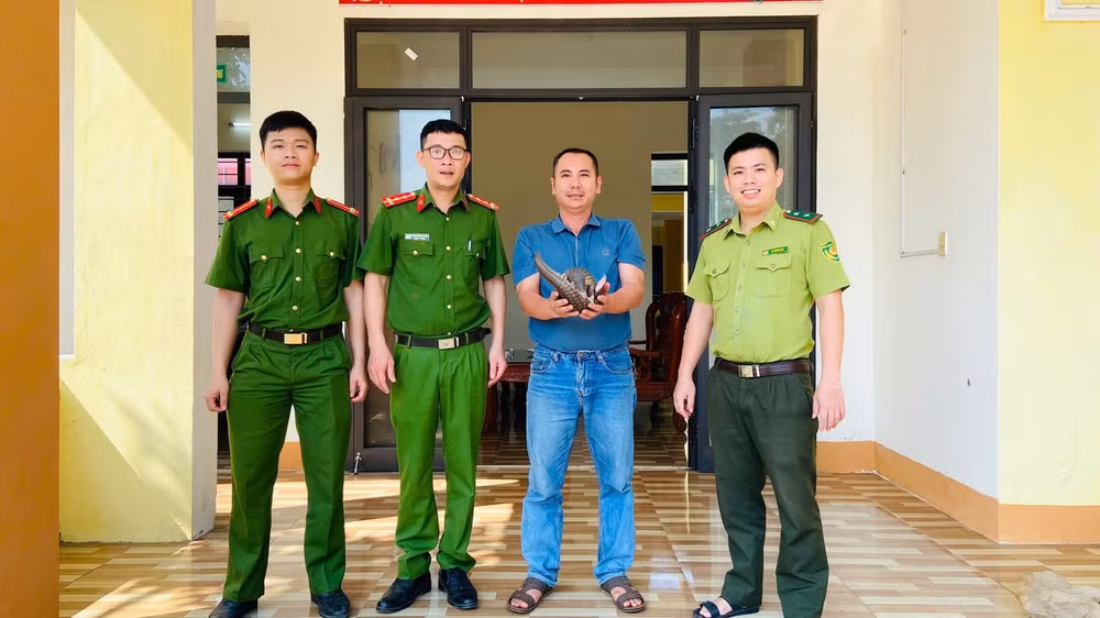 Chú thích ảnh:Công an xã Thanh Hóa phối hợp Hạt Kiểm lâm huyện Tuyên Hóa tiến hành bàn giao và tiếp nhận cá thể tê tê quý hiếm.