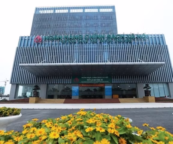 nhcsxh-17082325792221529264516.jpg
