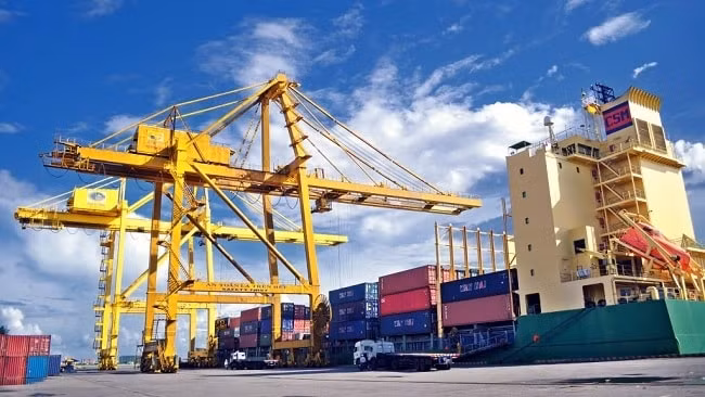 Điều đáng chú ý khác của năm 2019 là khối doanh nghiệp trong nước đang nỗ lực chuyển mình trên lĩnh vực thương mại quốc tế. (Ảnh TL)