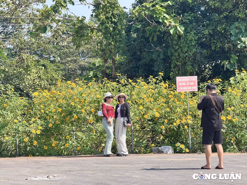 gioi tre do xo di check in hoa da quy o ngoai thanh ha noi hinh 14