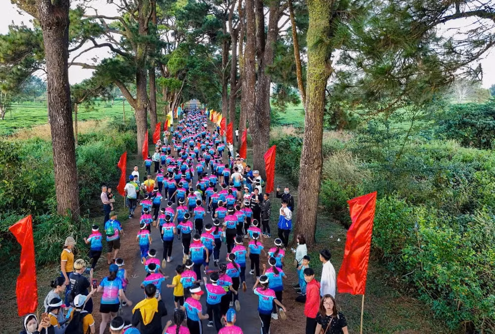 gia lai hon 1000 van dong vien danh thuc vung que chu pah thong qua giai half marathon 2024 hinh 10