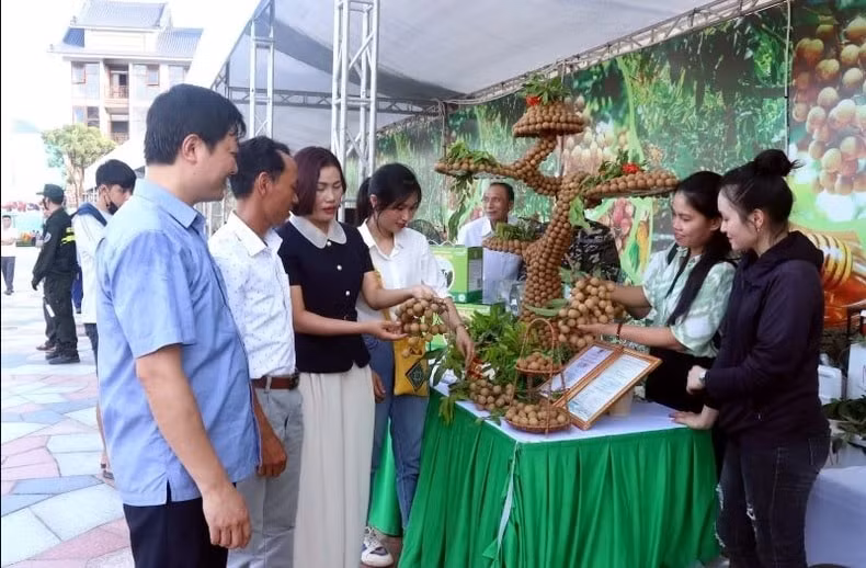 hung yen co 271 san pham ocop duoc cong nhan hinh 1