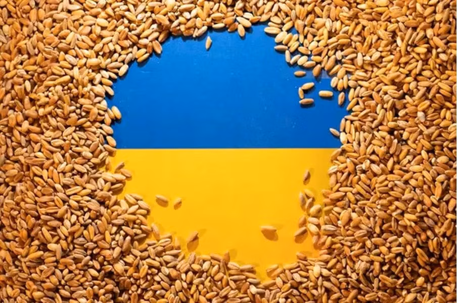 ukraine dat ky luc san xuat 70 trieu tan ngu coc va hat dau hinh 1