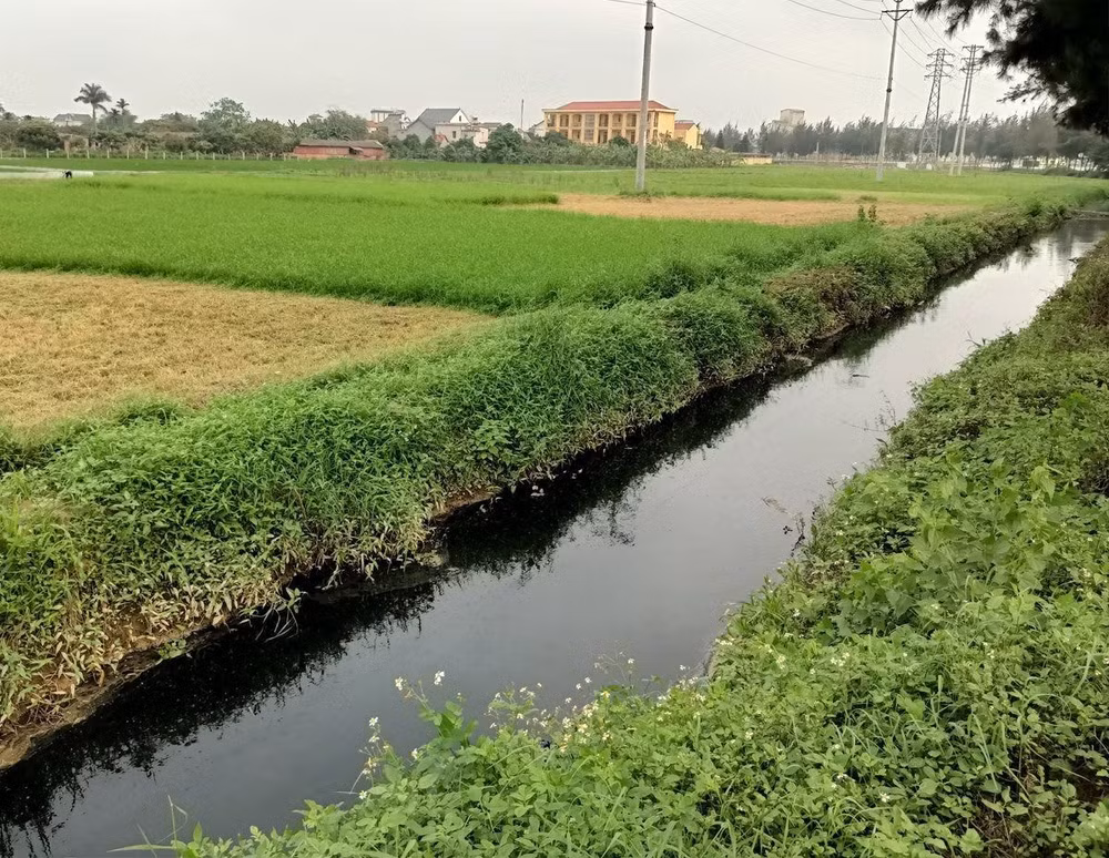 hai duong xu phat mot so doanh nghiep vi pham lien quan den linh vuc moi truong hinh 1