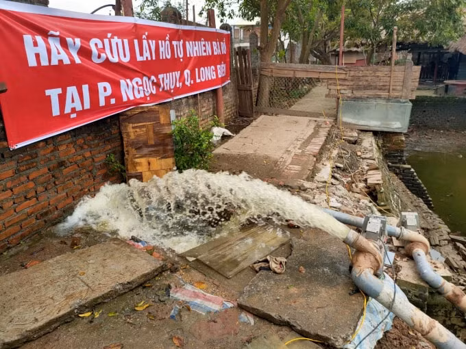 thanh tra chinh phu yeu cau tp ha noi giai quyet vu lap ho ban dat o long bien hinh 2
