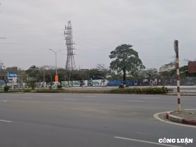hai phong cuong che thu hoi dat vang bo hoang 13 nam hinh 1