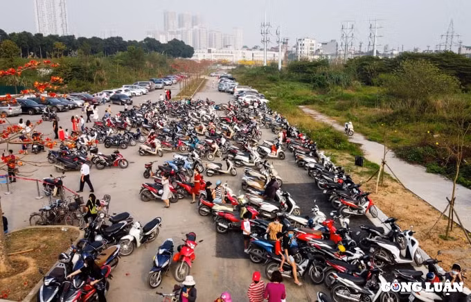 dong cua con duong hoa vang phong linh dang gay sot o ha noi hinh 7