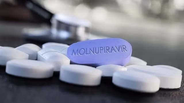 F0 cách ly tại nhà ở TP.HCM sẽ được dùng thuốc đặc trị Covid-19 Molnupiravir từ hôm nay. Ảnh minh họa
