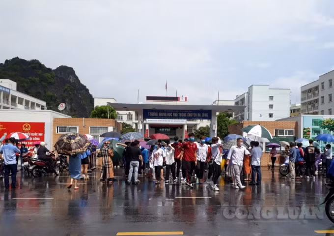 Trường Trung học phổ thông Chuyên Hạ Long. Ảnh: Nguyễn Quân.