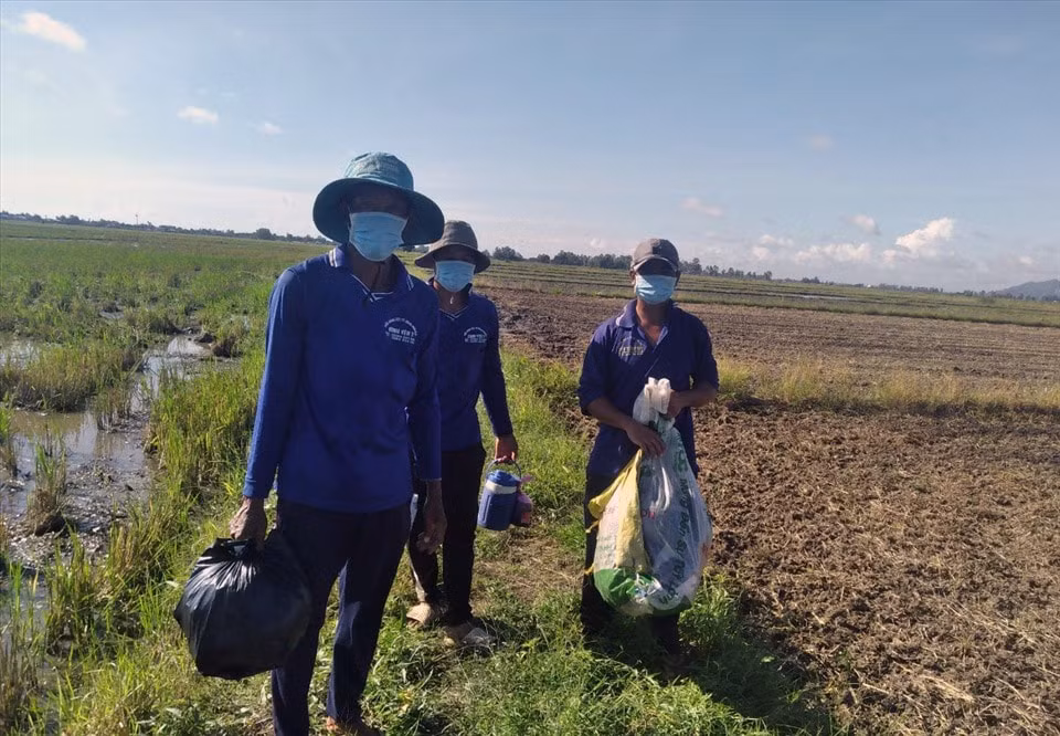 Hình ảnh 3 đối tượng nhập cảnh trái phép thời điểm mới phát hiện. Ảnh: laodong.vn