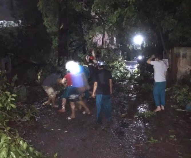 Nhiều cây cối trên đường phố ngã đổ sau trận mưa đá kèm theo gió mạnh xảy ra vào chiều tối 22/8.