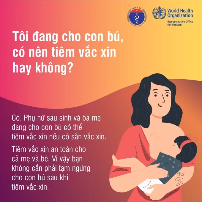 Hướng dẫn của Tổ chức Y tế Thế giới và Bộ Y tế Việt Nam.
