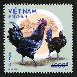 Mẫu tem 4-3 thể hiện hình ảnh loài gà H’Mông hay hay còn gọi là gà Mông, gà Mông đen, gà Mèo hay gà xương đen. Ảnh: vietnamnet.vn