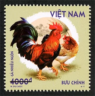 Mẫu tem 4-1 giới thiệu về gà nhiều ngón. Ảnh: vietnamnet.vn