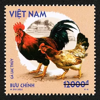 Mẫu tem 4-4 giới thiệu về gà Lạc Thủy. Ảnh: vietnamnet.vn