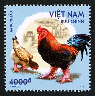 Mẫu tem 4-2 giới thiệu gà Đông Tảo, còn được gọi là gà Đông Cảo. Ảnh: vietnamnet.vn