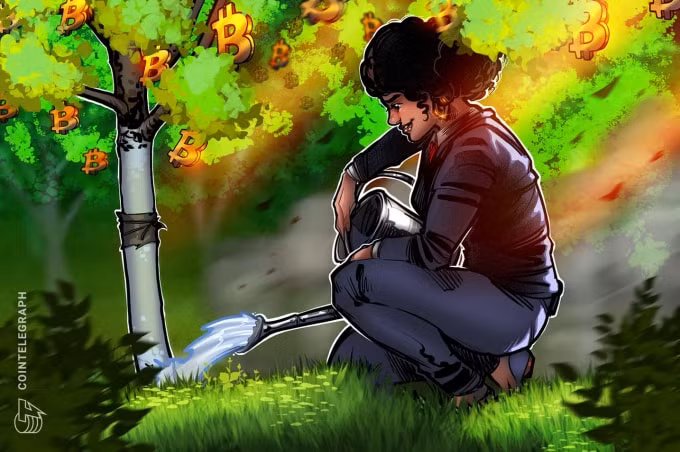 Các tổ chức lạc quan với Bitcoin. Ảnh: Cointelegraph