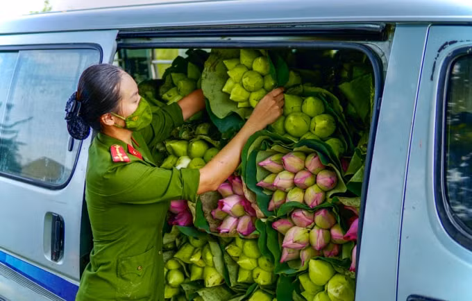Công an huyện Ứng Hòa (Hà Nội) hỗ trợ vận chuyển hoa sen đi tiêu thụ giúp bà con nông dân.(Ảnh PT)