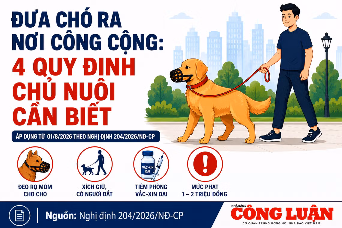Đưa chó ra nơi công cộng: 4 quy định chủ nuôi cần biết