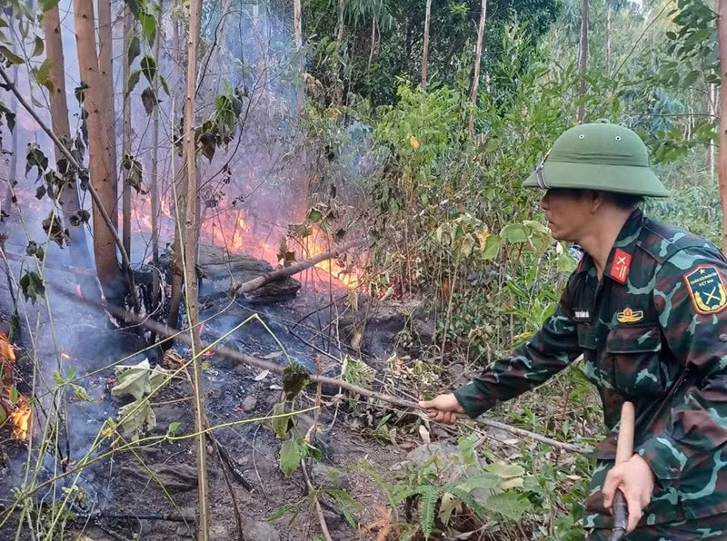 huy dong gan 500 nguoi xuyen dem tham gia chua chay rung tai quang binh hinh 2