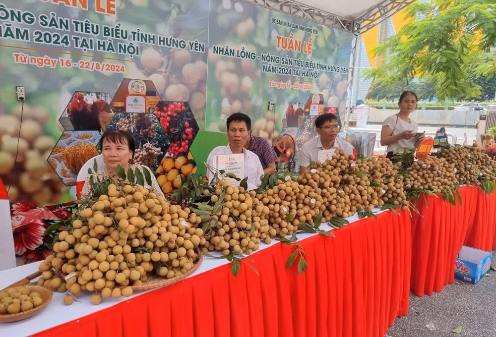 khai mac tuan le nhan long nong san tieu bieu tinh hung yen nam 2024 tai ha noi hinh 2