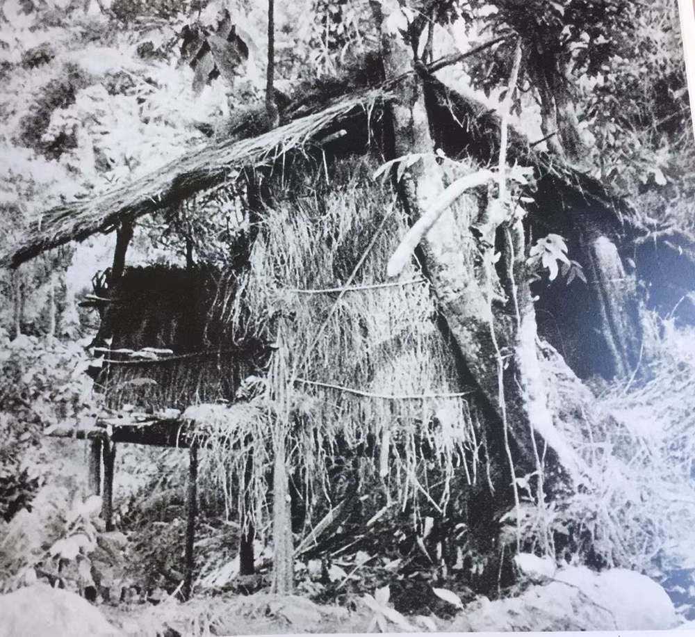 cach mang thang tam buoc ngoat lich su tu hoi nghi trung uong 8 hinh 2