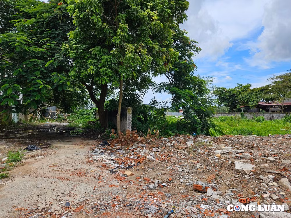 hai phong cuong che thu hoi dat de xay dung vuon hoa cong cong hinh 2