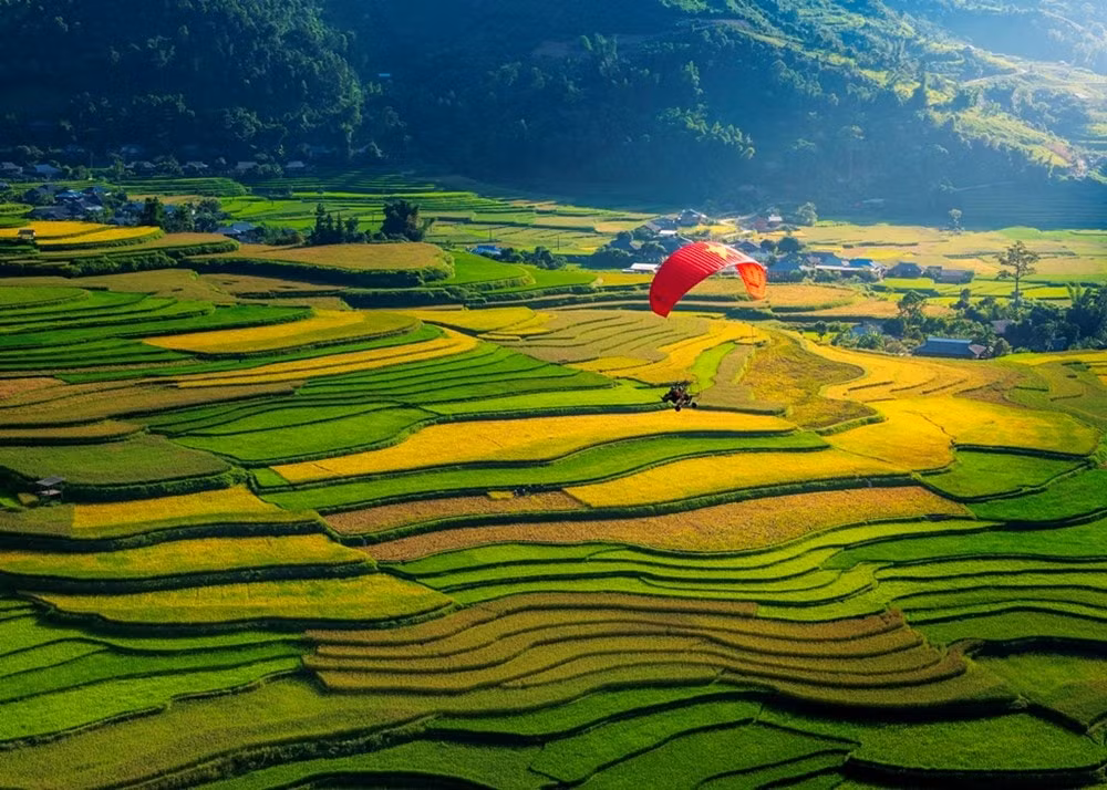 festival du luon 2024 trai nghiem bay tren ruong bac thang dep nhat the gioi hinh 3