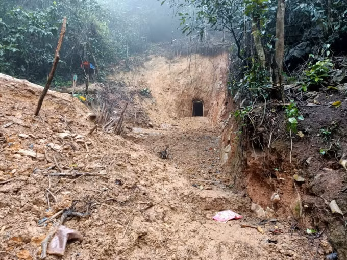 dai ta cong an ke chuyen bat trum phu vang khet tieng xu thanh hinh 4