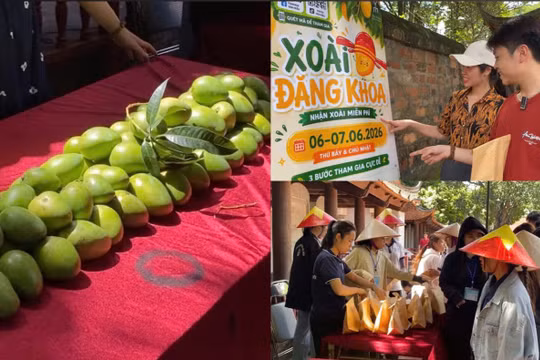 Lễ hội Xoài Đăng khoa: Nơi trao gửi lời chúc dành cho các sĩ tử 